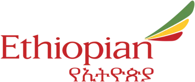 logo flight (1)
