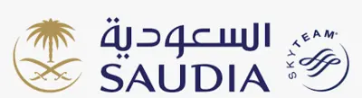 logo flight (4)