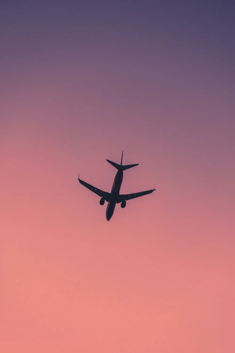 Why choose Skylines Trips