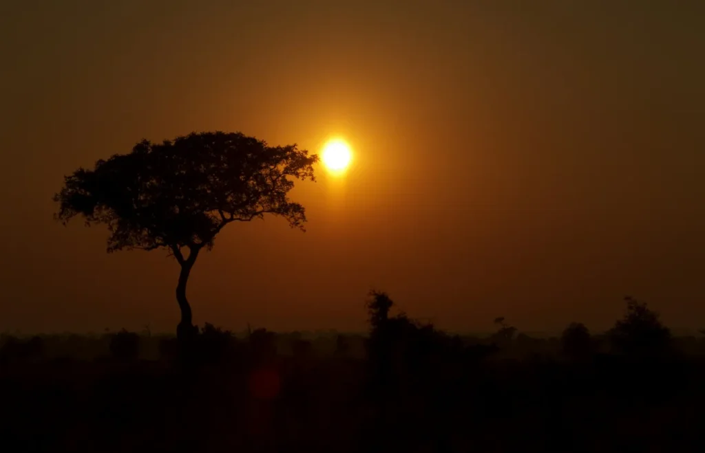 Cheapest time to book flights to Africa from UK – African sunset landscape